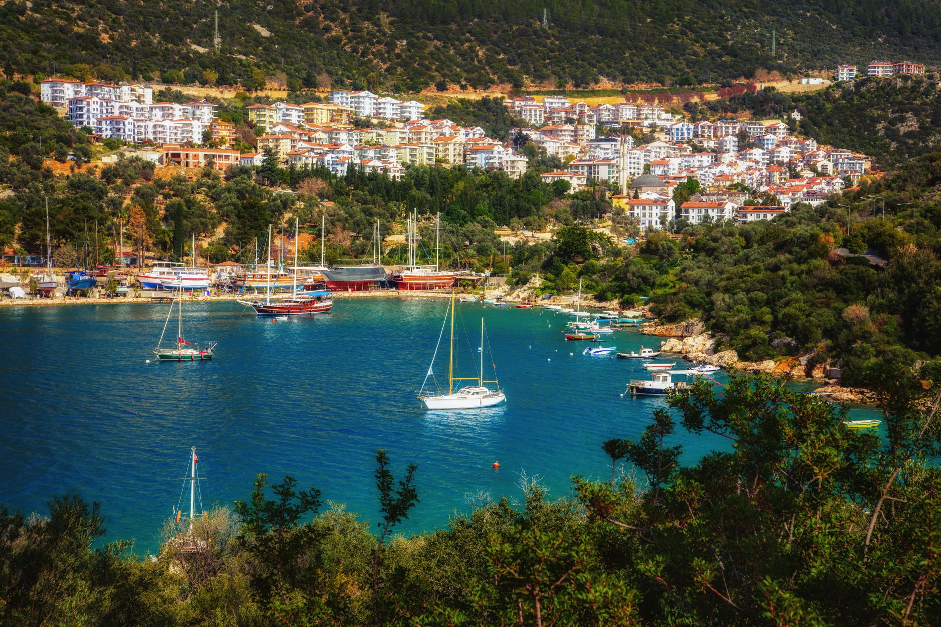 Turkey